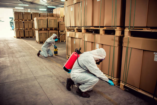 Best Wasp Removal Services  in Pittsfield, IL