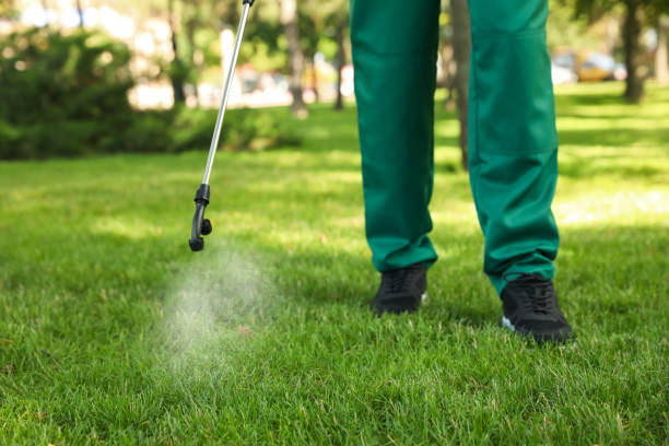 Best Pest Prevention Services  in Pittsfield, IL