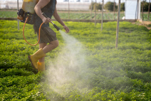 Best Wildlife Control Services  in Pittsfield, IL