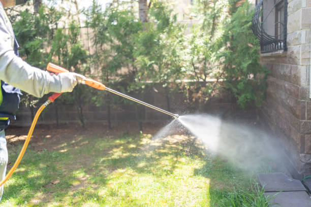 Best Rodent Control Near Me  in Pittsfield, IL