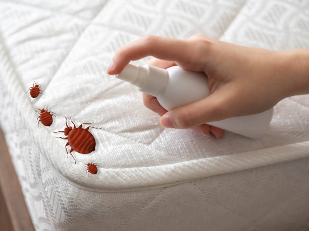 Best Exterminator Services  in Pittsfield, IL