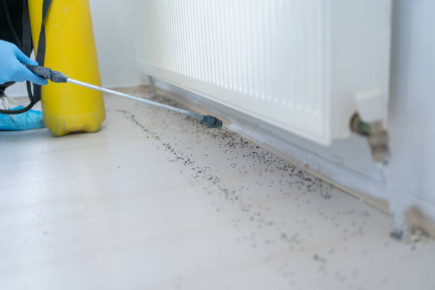Best Pest Control Near Me  in Pittsfield, IL