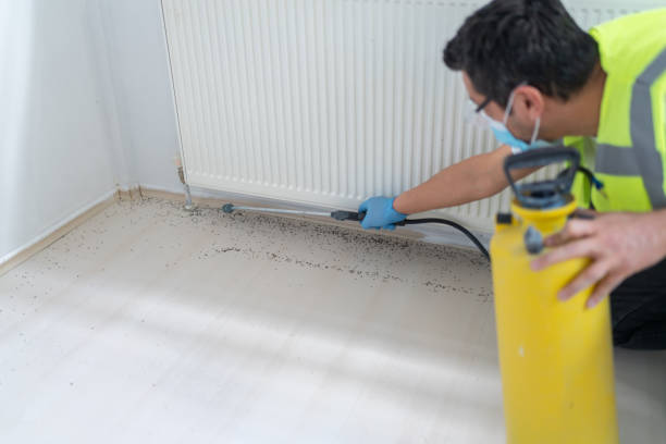 Best Commercial Pest Control Services  in Pittsfield, IL