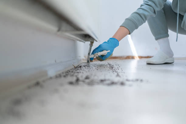 Best Mosquito Control Services  in Pittsfield, IL
