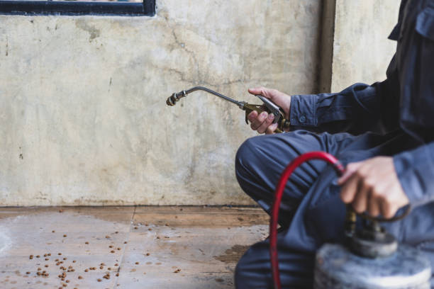 Best Rat Extermination Near Me  in Pittsfield, IL